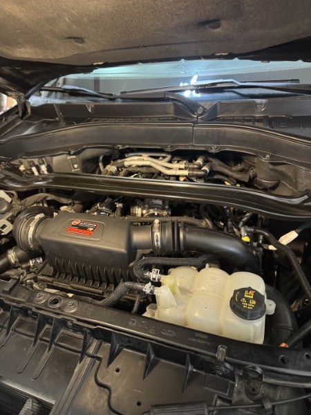 Cleaned and dressed engine bay